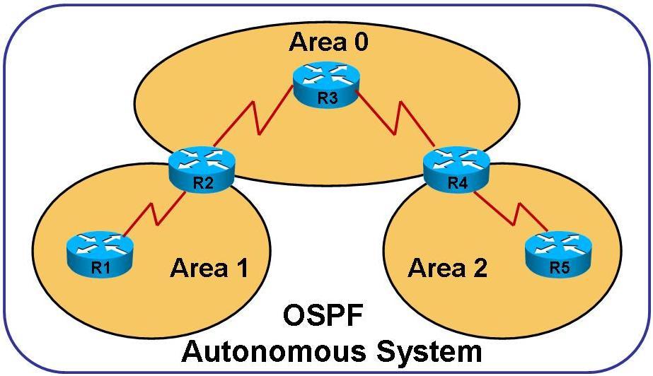 сеть OSPF
