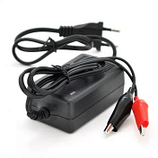 Імпульсне ЗУ Merlion для акумуляторів 6V, KF-0602000-GS, струм заряду 2А