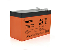 Акумуляторна батарея GL1290F2 12 V 